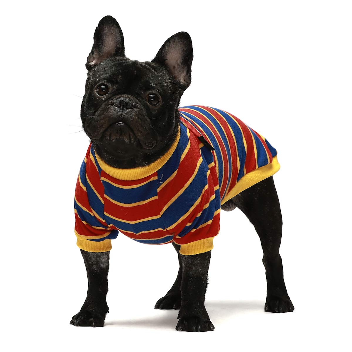 Fitwarm 2 Pack Striped Dog Shirt, Summer Dog Clothes For Small Dogs Boy, Breathable Pet Tshirt, Stretchy Cat Outfit, 105% Cotton